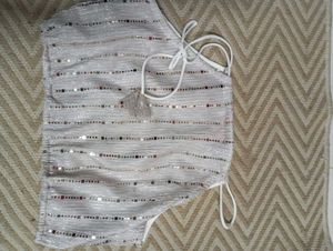 Silver Shiny Crop Top