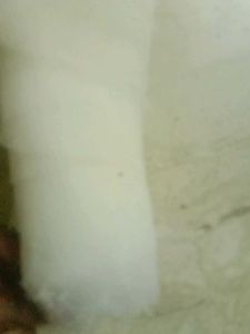 Elegant 2 Net Fabric Piece