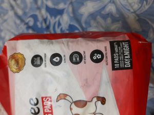 Puppy Diaper