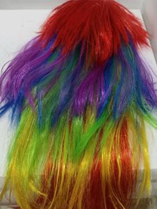 Colourful Wig