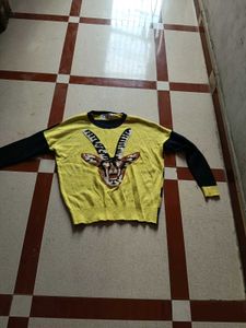 woolen tops