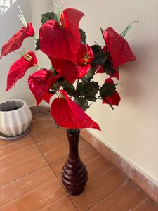 Red Anthurium Arrangement