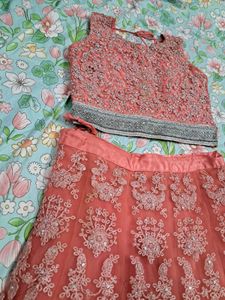 Peach Silver Embroidered Lehenga Choli