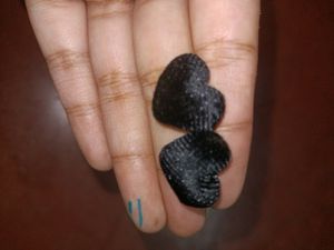 Three Different Earrings- Each Cost 10 Coins
