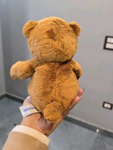 Cute Brown Teddy Bear