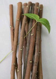 Neem Sticks - Natural Oral Care