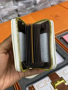 IMPORTED DESIGNER 3 PCS WALLET GIFT SET WD BOX