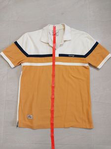 T-shirt (New) Dual Tone Collar Nack T-Shirt By Radiology (NEW)