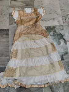 Ethnic Skirt