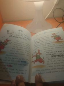 Geronimo Stilton: Ruby of Fire