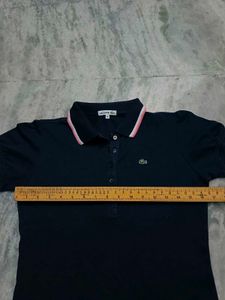 Lacoste T Shirt For Girls