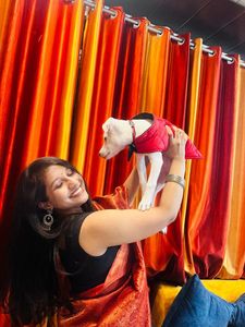 Orange koski Saree