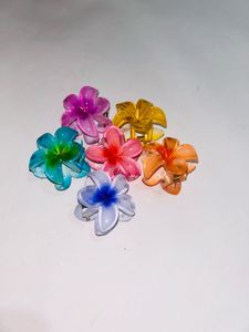 MINI CLAW CLIPS (pack Of 6)