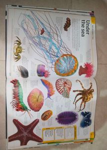 General Knowledge Genius Book