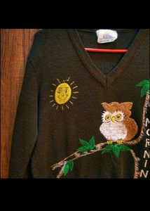 Owl 🦉theam Sweater