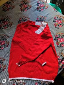 red With White Strip Pure Cotton Sweater