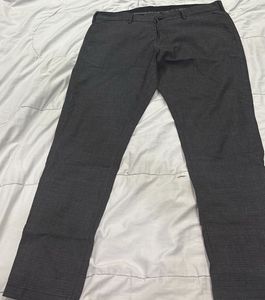 Pant