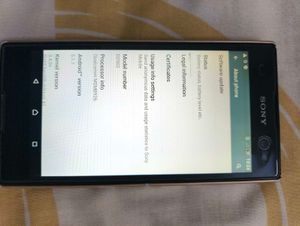 Sony Xperia C3 Dual