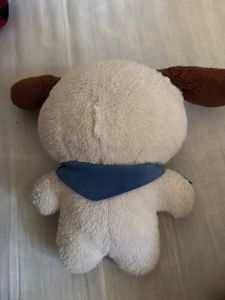 Husky Dog | Plushie | Soft Toy