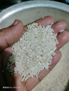 Premium Long Grain Rice