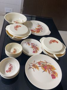 20Pcs Melamine Floral Dinner Set