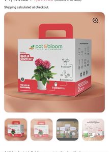 Pot &amp; Bloom Cherry Tomato Kit
