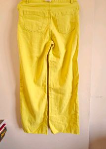 Brand New Sassafras Yellow Jeans