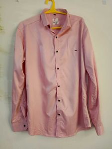 Brand New Pink Casual Shirt