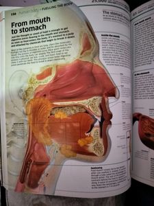 Knowledge Encyclopedia