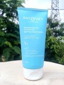 Dot & Key❤️Blueberry 🫐 Barrier Repair Facewash ✅