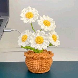 Daisy Flower Pot