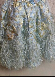 Girl&#39;s Feathered Party Dress