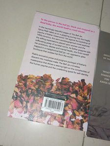 The Bell Jar &amp; Metamorphosis