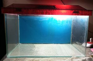 new fish tank aquarium