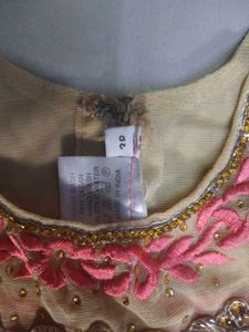Elegant Ethnic Gown