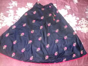 Very Beautiful Indian Lehnga For Girls