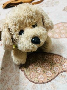Cute Plush Puppy