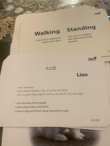 Crazy Flash Cards For Young Kids