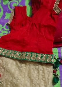 Beautiful Lengha