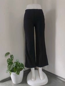 Black Pants