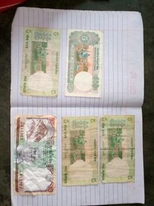 Vintage Currency Collection