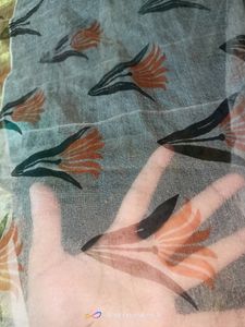 Beautiful Multi Colour Organza Dupatta,👌