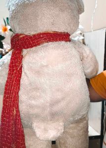 Giant Teddy Bear 3.5 Feet Fixed Price+ Freebie