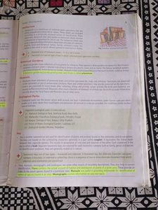 MTG NCERT Fingertips