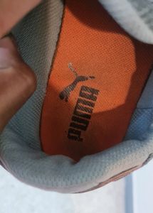 Puma Casual Shoes