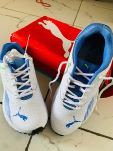 Puma Cricket Shoes -  New
