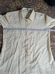Woman Shirt