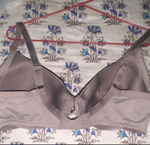 Bra Size 36D
