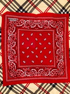 Red Paisley Bandana
