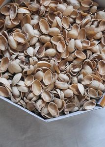 Pistachios Shells 2 Kg. Art Craft